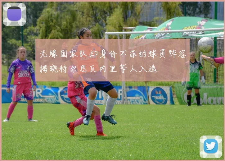 无缘国家队却身价不菲的球员阵容揭晓特尔恩瓦内里等人入选